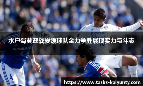 水户蜀葵迎战爱媛球队全力争胜展现实力与斗志